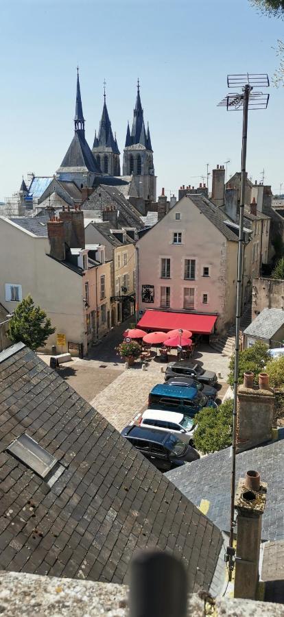 Апартаменты Le Logis De La Rue Des Arts Блуа Экстерьер фото